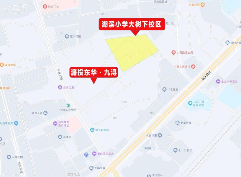 浔阳区小学发展规划概览，未来教育新蓝图