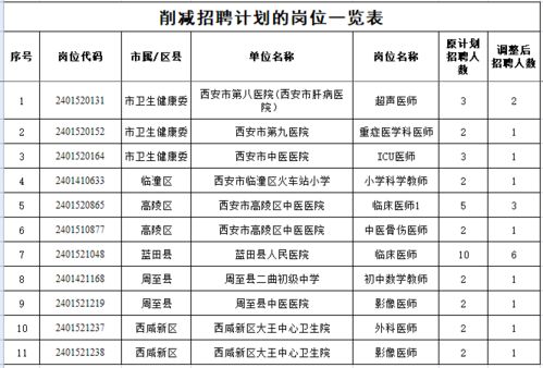 周至县级托养福利事业单位发展规划展望