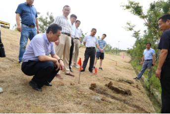 石湫镇交通升级助力地方发展最新报道