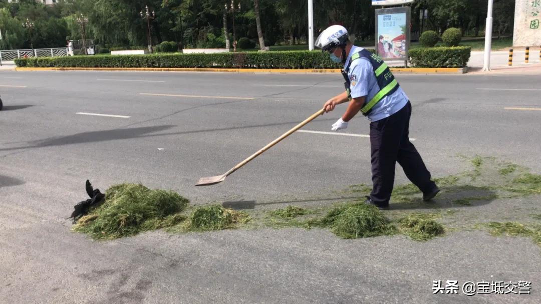 渠阳镇交通建设带动地方经济腾飞，最新交通新闻综述