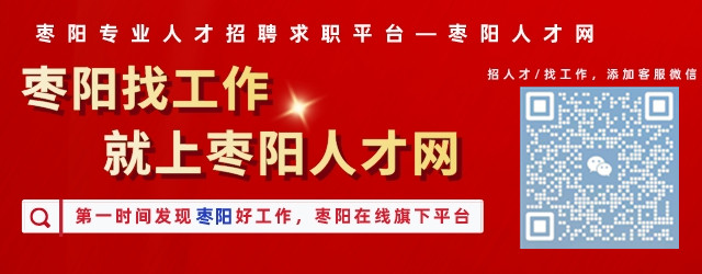 枣阳市统计局最新招聘启事发布