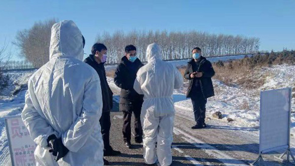 桃山区防疫检疫站新项目，筑建健康安全防线