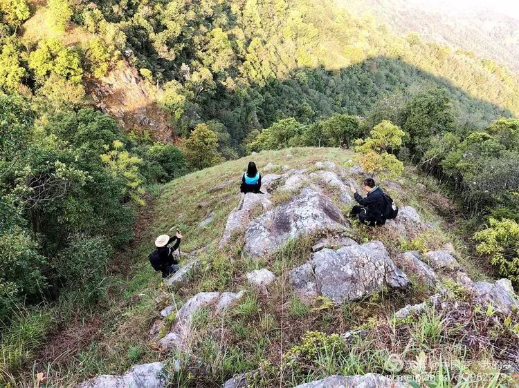 国营惠东九龙峰林场领导团队最新阵容及发展战略概览