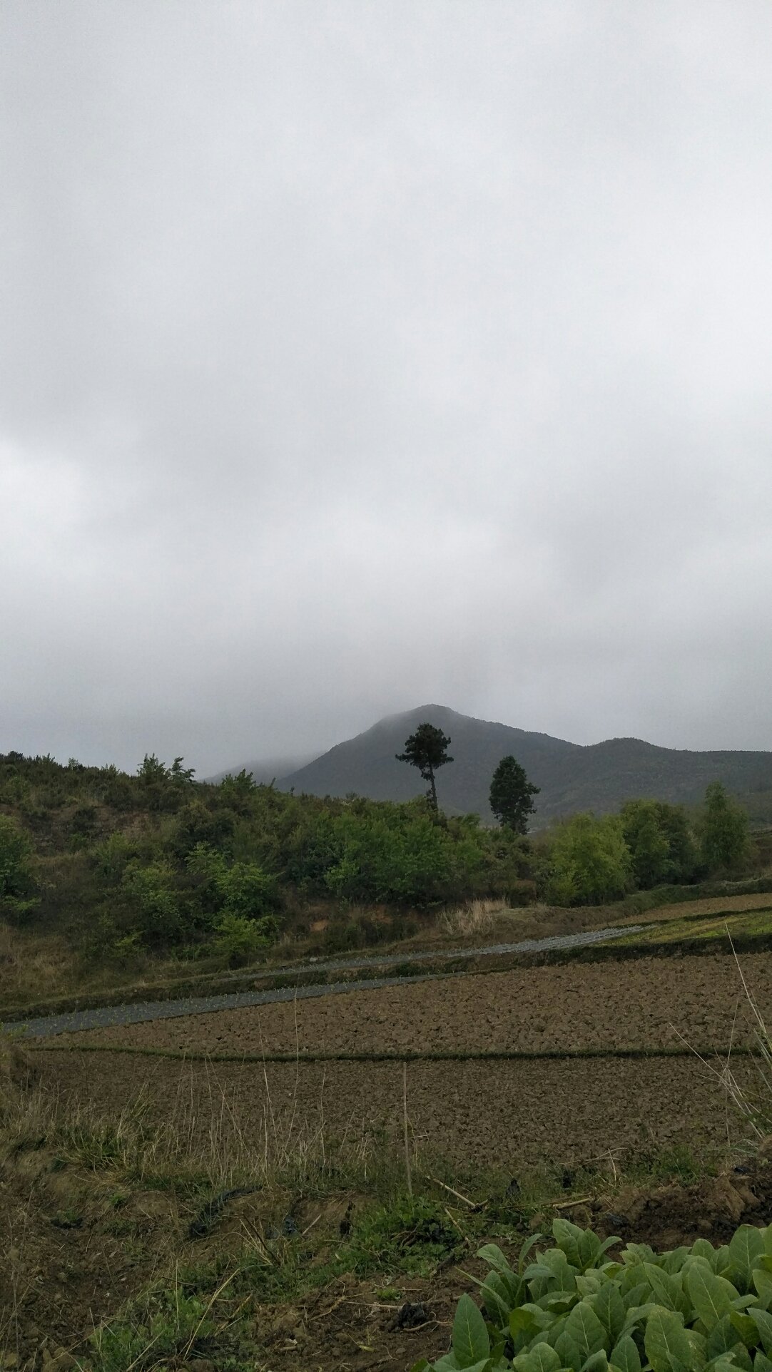 红土坡村民委员会天气预报更新通知