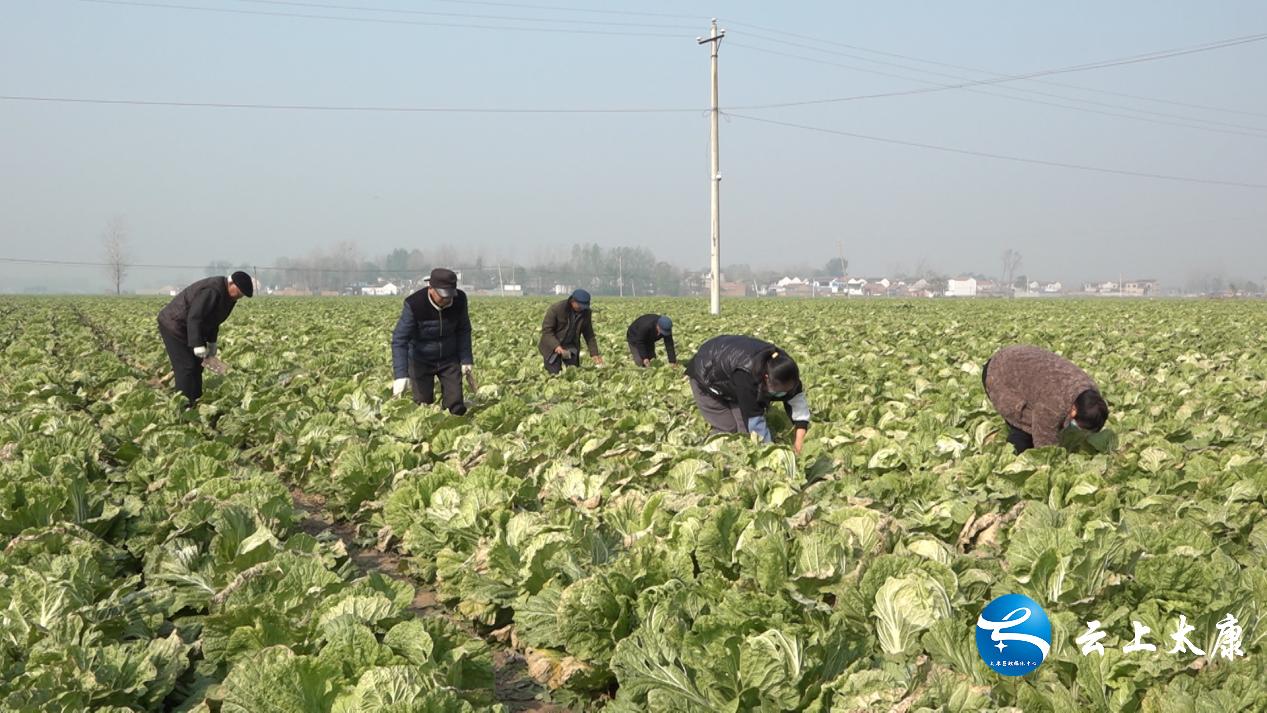 太康县公路运输管理事业单位最新领导概览