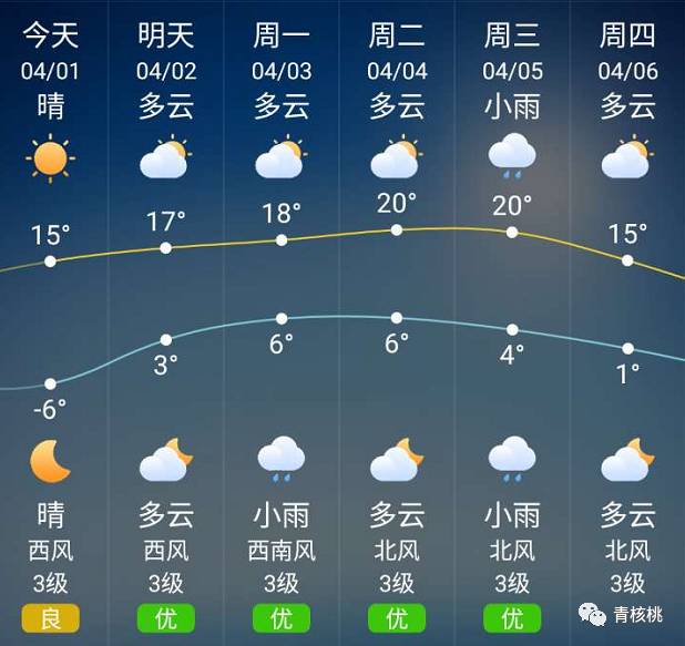 2025年2月15日 第3页