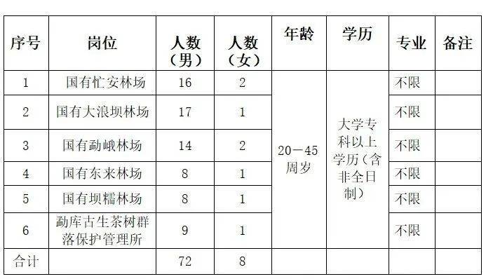 2025年2月17日 第7页