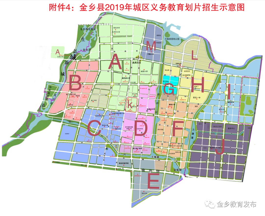 金乡县初中未来教育蓝图，发展规划揭秘