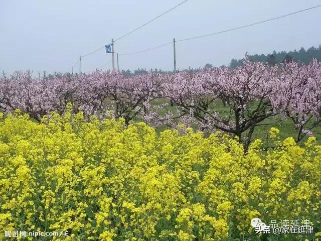 宜村乡交通新篇章，迈向现代化交通里程碑