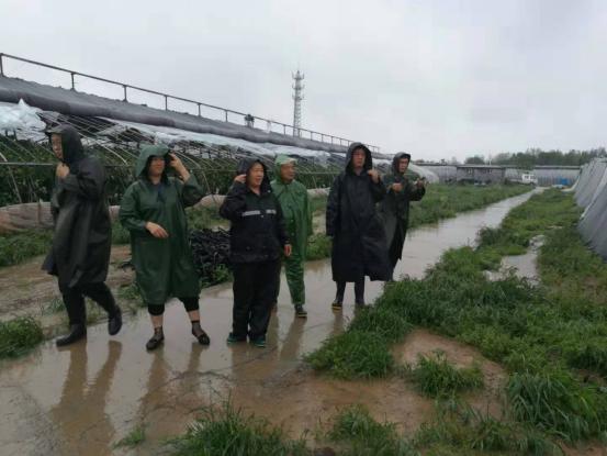 河口区市场监督管理局启动新项目，推动市场监管现代化助力地方经济腾飞