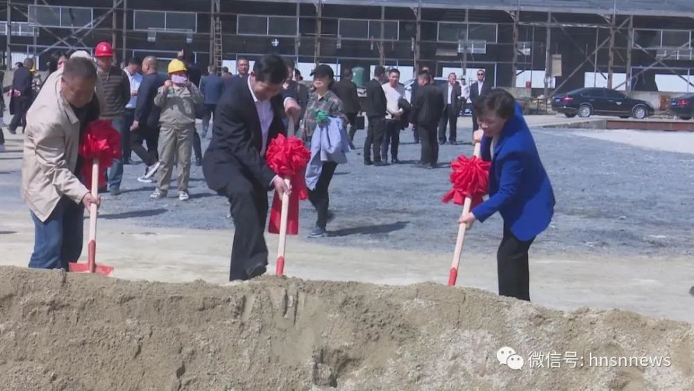 绥宁县体育局新项目启动，助力地区体育事业迈向新高峰